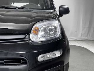 FIAT Panda usata 29