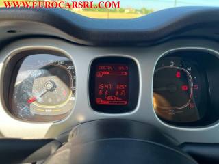 FIAT Panda usata, con Trazione integrale