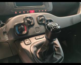 FIAT New Panda usata, con Assistente abbaglianti