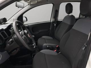 FIAT Panda usata, con Controllo trazione