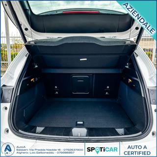 ALFA ROMEO Tonale usata, con Climatizzatore