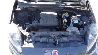 FIAT Punto usata 115