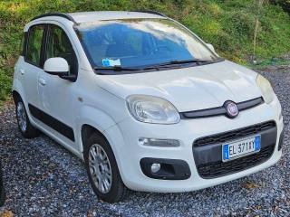 FIAT Panda usata, con Airbag testa