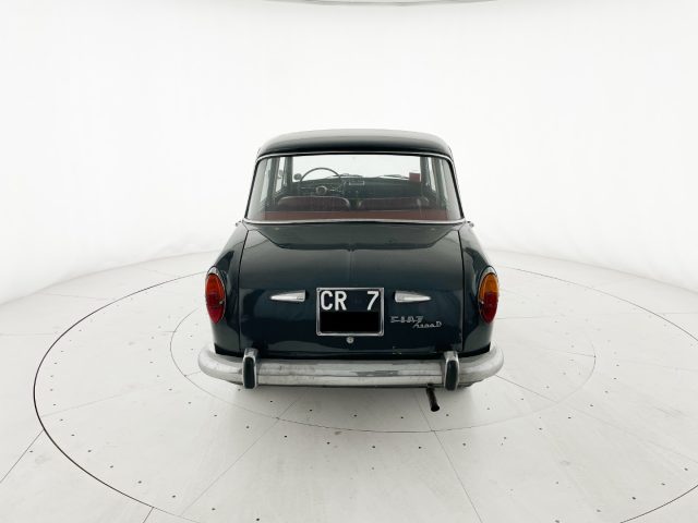 FIAT 1100 usata 5