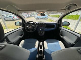 FIAT Panda usata 28