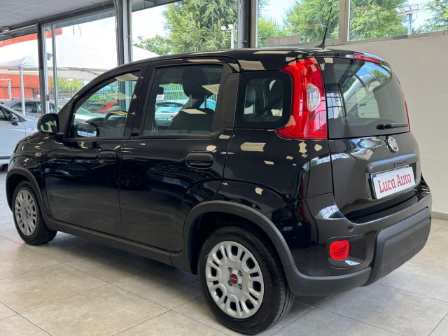 FIAT Panda usata, con Climatizzatore