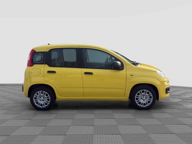FIAT Panda usata 6