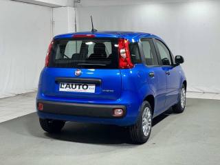 FIAT Panda usata, con Antifurto