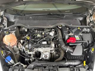 FORD Fiesta usata, con Airbag testa