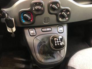 FIAT Panda usata, con Airbag testa