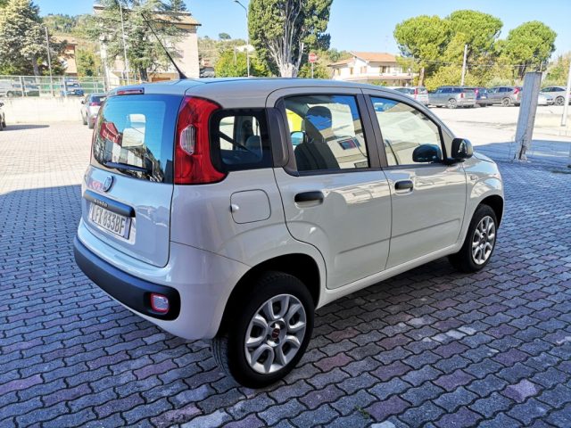 FIAT Panda usata, con Chiusura centralizzata