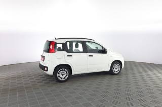 FIAT Panda usata 2