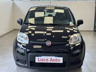 FIAT Panda usata, con Airbag