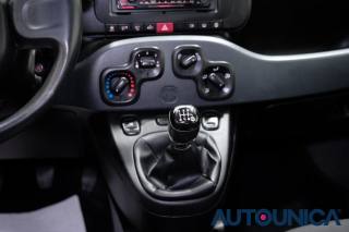 FIAT Panda usata 35