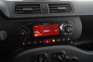 FIAT Panda usata 14