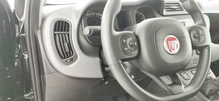 FIAT Panda usata 44