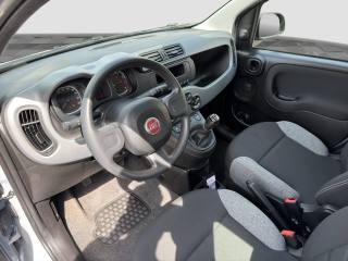 FIAT Panda usata 8