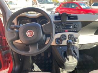 FIAT Panda usata, con Filtro antiparticolato