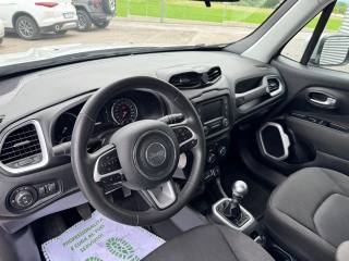 JEEP Renegade usata, con Cruise Control