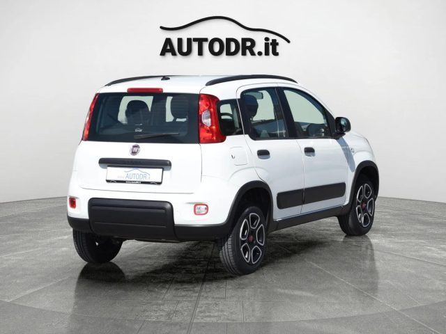 FIAT Panda usata 49