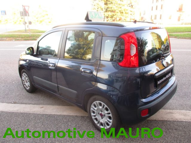 FIAT Panda usata 4