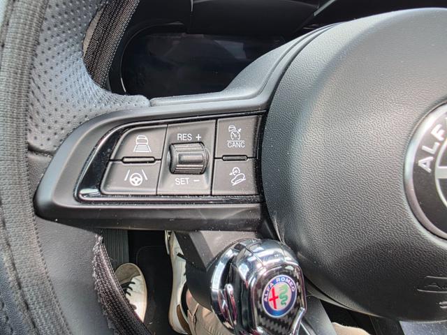 ALFA ROMEO Stelvio usata, con Tettuccio apribile