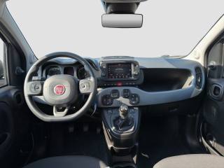 FIAT Panda usata 11