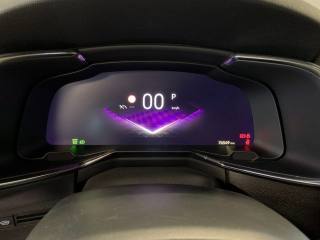 DS AUTOMOBILES DS 7 usata, con Luci diurne LED