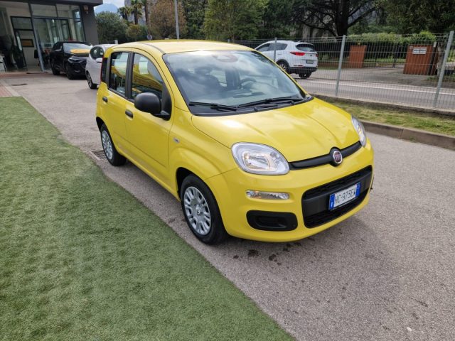 FIAT Pandina usata, con Climatizzatore
