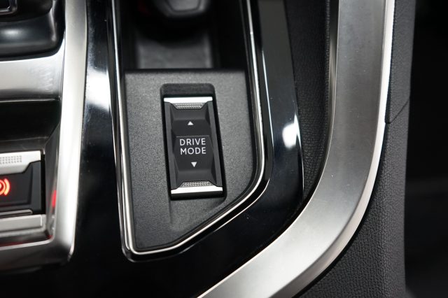 PEUGEOT 3008 usata 56