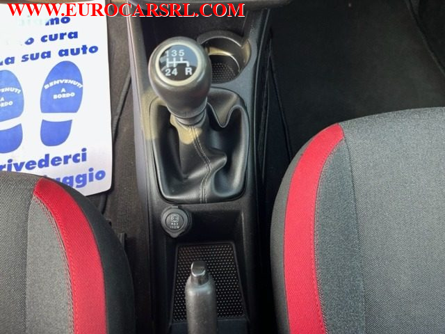 FIAT Punto usata 13