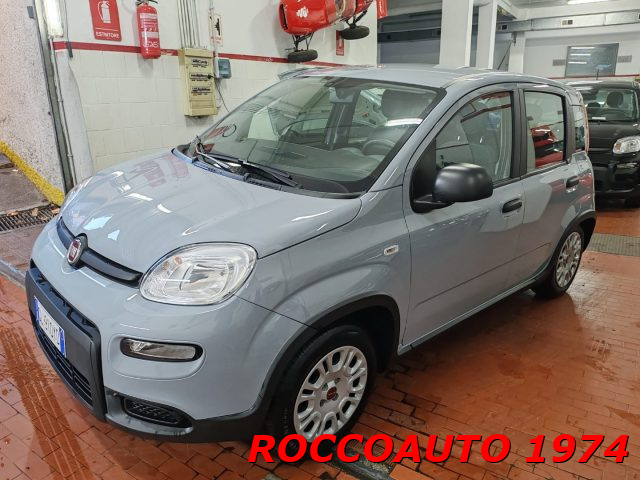 FIAT Panda usata 14