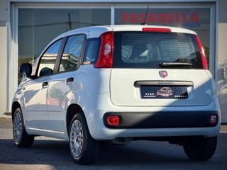 FIAT Panda usata, con Controllo trazione