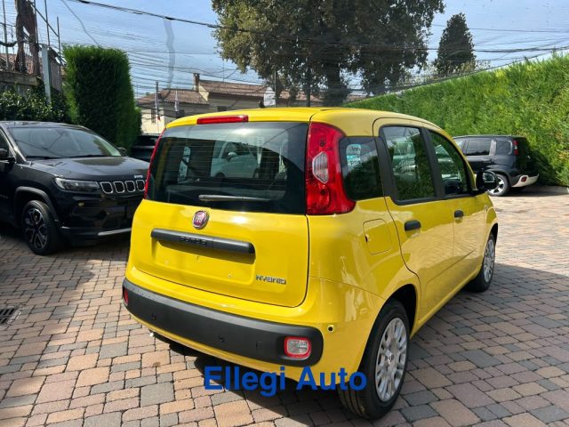 FIAT Pandina usata, con Airbag testa
