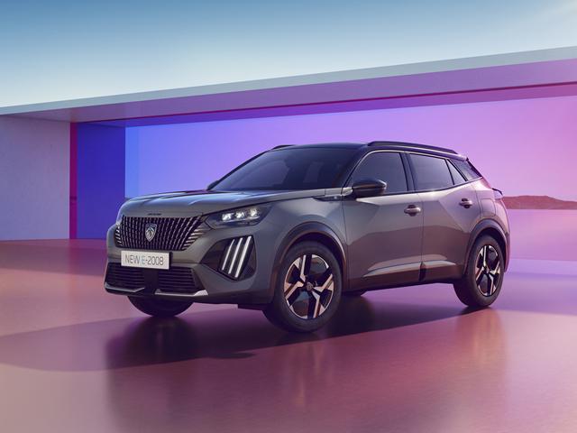 PEUGEOT 2008 usata, con ABS