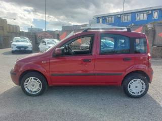 FIAT Panda usata, con Controllo automatico clima