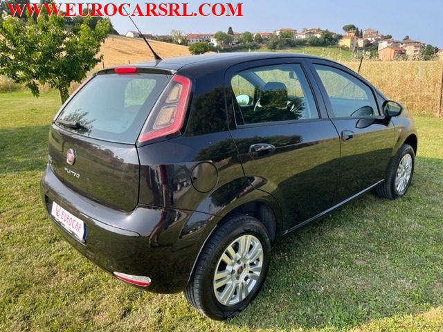 FIAT Punto usata 6