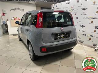 FIAT Panda usata, con Chiusura centralizzata