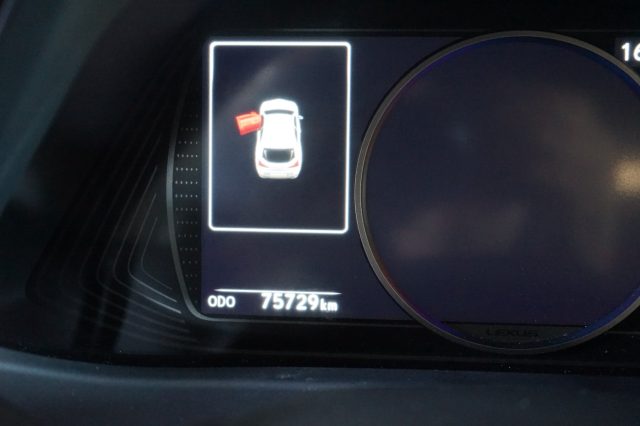 LEXUS UX 250h usata, con Volante multifunzione