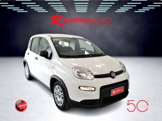 FIAT Panda usata 3
