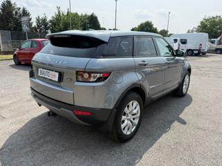 LAND ROVER Range Rover Evoque usata, con Airbag Passeggero