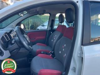 FIAT Panda usata, con Alzacristalli elettrici