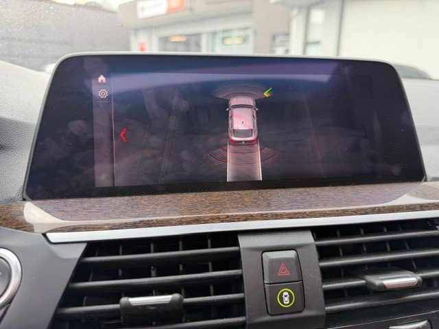 BMW X4 usata, con Interni in pelle