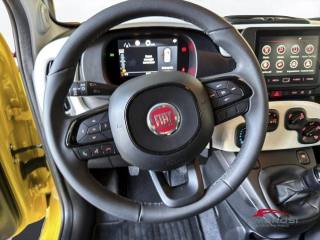 FIAT Panda usata 12