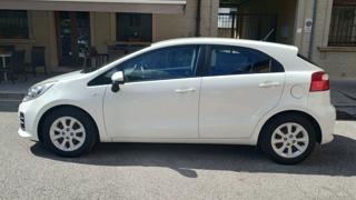 KIA Rio usata, con Fendinebbia
