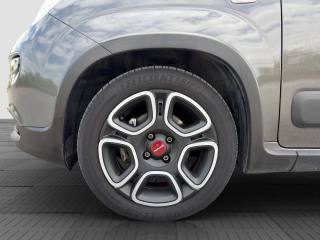 FIAT Panda usata 14