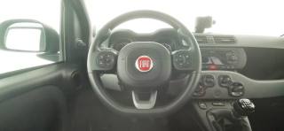 FIAT Panda usata 41