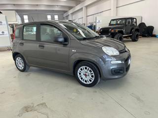 FIAT Panda usata, con Antifurto