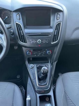 FORD Focus usata, con Cruise Control