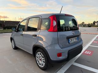 FIAT Panda usata 30